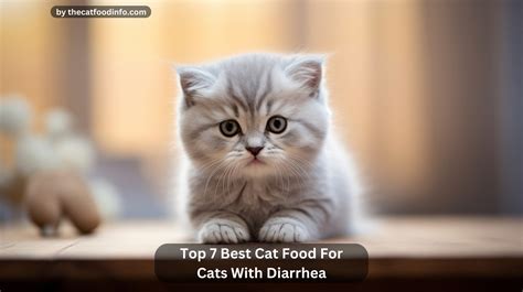 Top 7 Best Cat Food For Cats With Diarrhea In 2023
