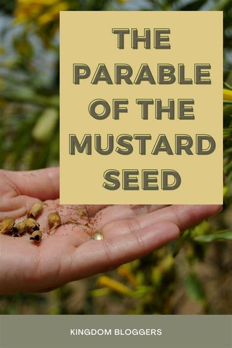 The Parable Of The Mustard Seed Teaches Us That The Smallest Amount Of Faith Will Result In God
