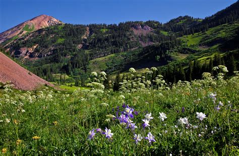 Photo Of Cinnamon Mtn Near Crested Butte Colorado By Dave Jones