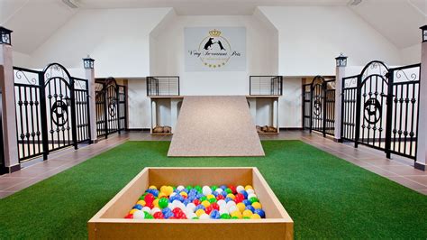 Vip Pets The First Five Star Dog Hotel And Kindergarten Prague Stay