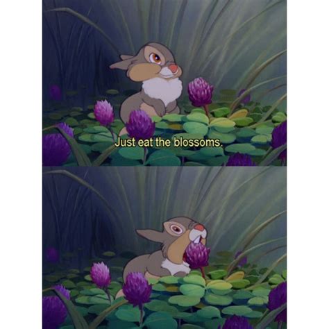 17 Best Images About Thumper Quotes On Pinterest Disney Bambi Disney