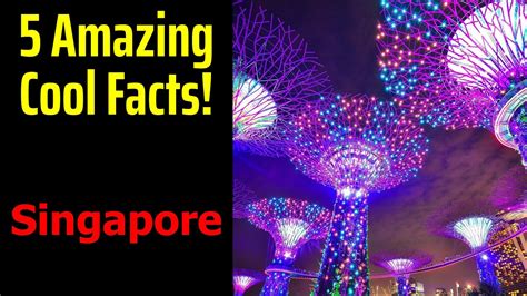 5 Fascinating Facts About Singapore Youtube