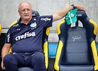 Palmeiras despidió a Luiz Felipe Scolari - TyC Sports