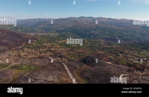 Deforestation After Forest Fire Natural Disaster Aerial Shot 4k Stock