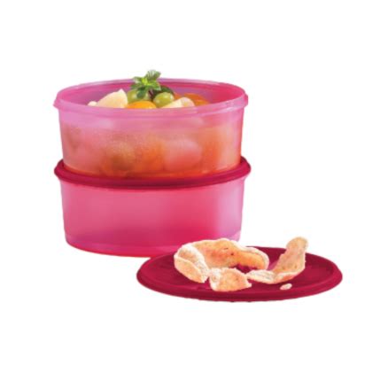 Tupperware Deco Canister Pcs L