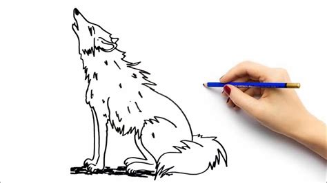 Cara Menggambar Serigala Yang Gampang