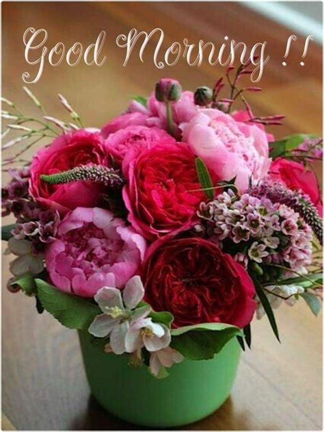 Have an awesome morning, my beautiful and amazing sugar pie. flowers good morning | Good morning flowers, Spring flower ...