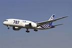 File:All Nippon Airways Boeing 787-8 Dreamliner JA801A OKJ in flight.jpg