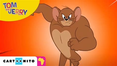 Tom And Jerry Muscle Offer Discounts Save 53 Jlcatjgobmx