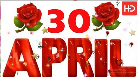 30 April Special New Birthday Status Video Happy Birthday Wishes