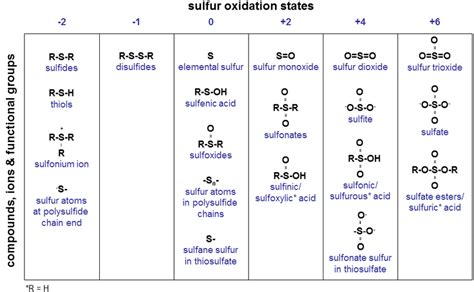 The Most Common Inorganic And Organic Sulfur Compounds Ions And