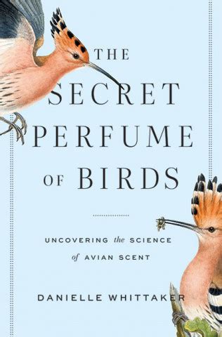The Secret Perfume Of Birds Uncovering The Science Of Avian Scent