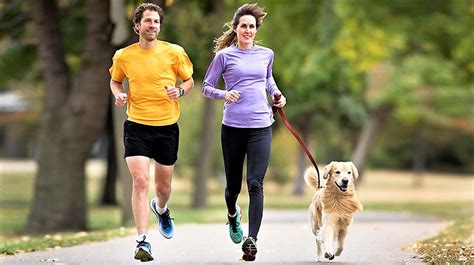 5 Fun Ways To Exercise With Your Dog Yes Your Pets Can Help You