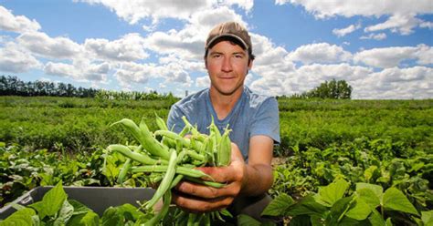 The Top 10 Organic Farms Near Toronto
