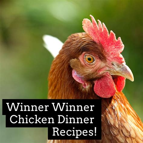 Winner Winner Chicken Dinner Recipes Winner Winner Chicken Dinner