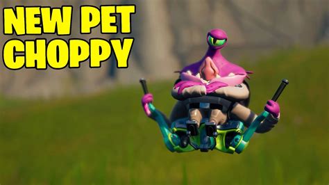 Fortnite New Pet Gameplay Choppy Youtube