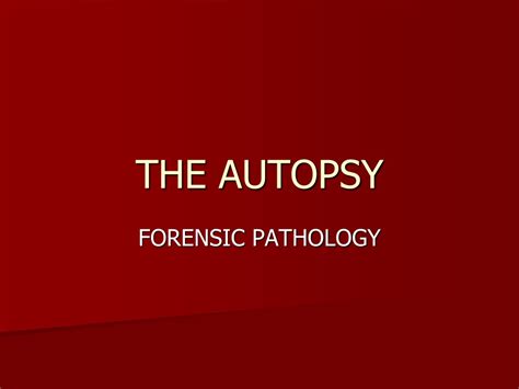 Ppt The Autopsy Powerpoint Presentation Free Download Id9288981