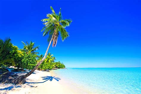 The 50 Most Beautiful White Sand Beaches In The World Beaches In The
