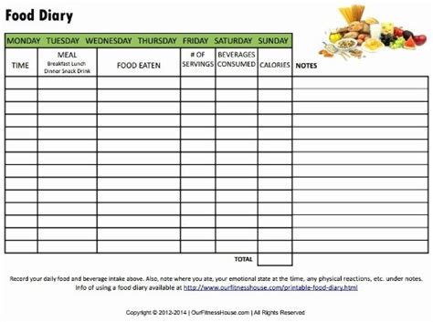 30 Diabetic Food Journal Template Example Document Template