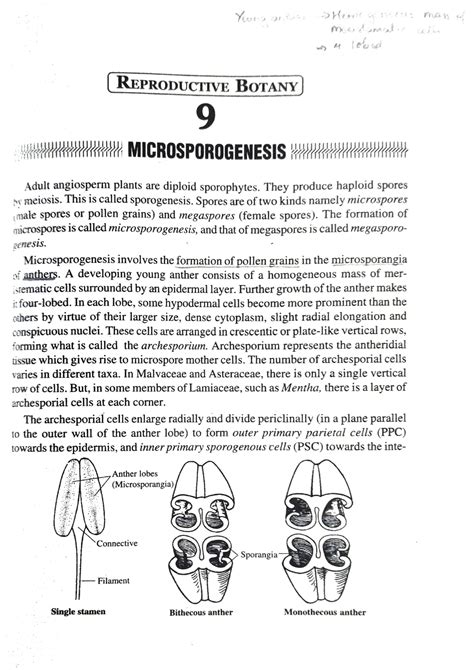 Microsporogenesis Biological Introduction To Biological Psychology