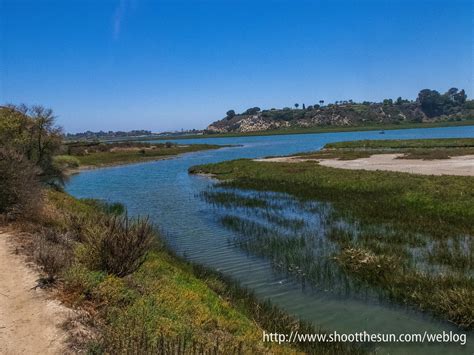 Top 20 Upper Newport Bay Nature Preserve Newport Beach Townhouse