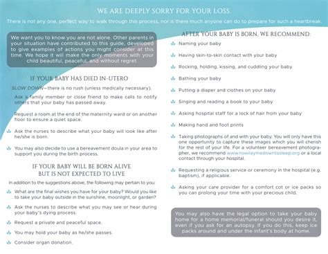 When Your Baby Has Died: Guiding You Through Grief Brochure — Return to