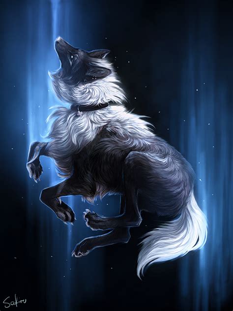 Blue By Safiru On Deviantart Anime Wolf Drawing Dog Drawing Wolf