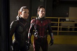 Ant Man And The Wasp Movie Wallpaper,HD Movies Wallpapers,4k Wallpapers ...