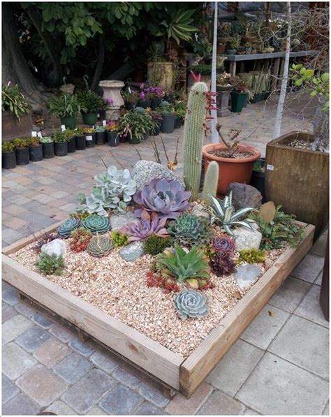 13 Beautiful Cactus Garden Ideas Succulent Garden Landscape Mini