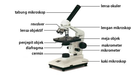Mikroskop Pengertian Fungsi Bagian Jenis Titip Tuntut My XXX Hot Girl