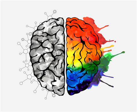 Resultado De Imagen Para Brain Rainbow Mejorar La Memoria Temas
