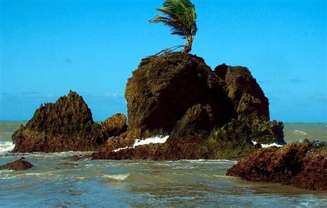 Tambaba Conde Pb Ferias Brasil Praia De Tambaba E Brasil