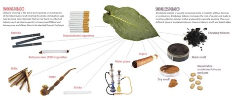 Types Of Tobacco Uses İnfographics Pinterest