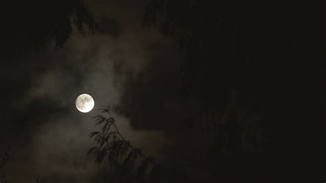 Establishing Moon On Eerie Night Stock Footage Sbv 338918295 Storyblocks