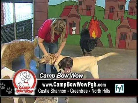 67 reviews of camp bow wow golden this place is truely awesome. Camp Bow Wow Pittsburgh Southwest 2 min commercial - YouTube