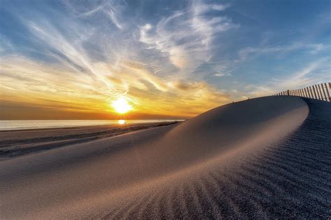 Nautilus Shell Sand Dune Photograph By John Randazzo Fine Art America