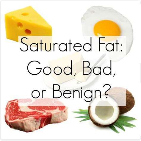 A Single Meal Containing High Saturated Fat Can Cause Your Focus To