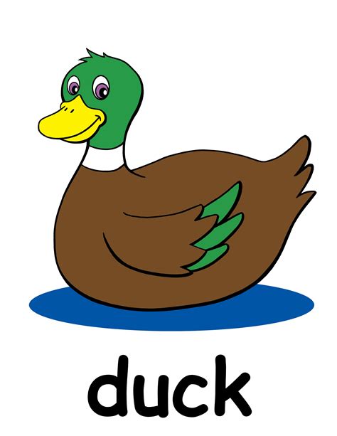 Mallard Duck Clip Art Clipart Best