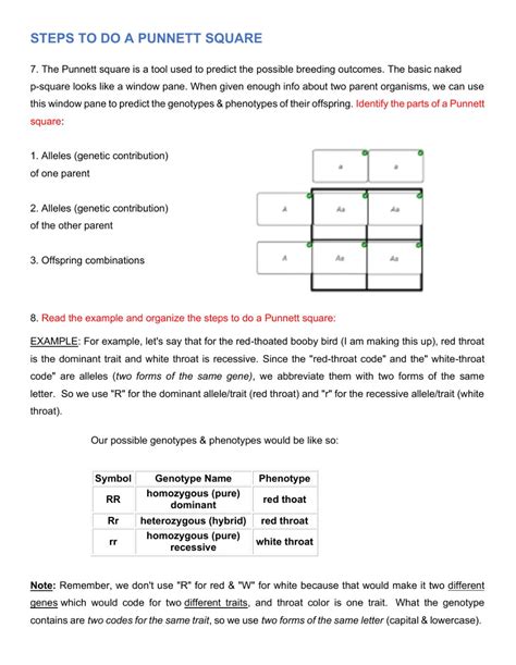 *refer to any punnett squares to support your answer. Genetics - Mendelian genetics Interactive worksheet