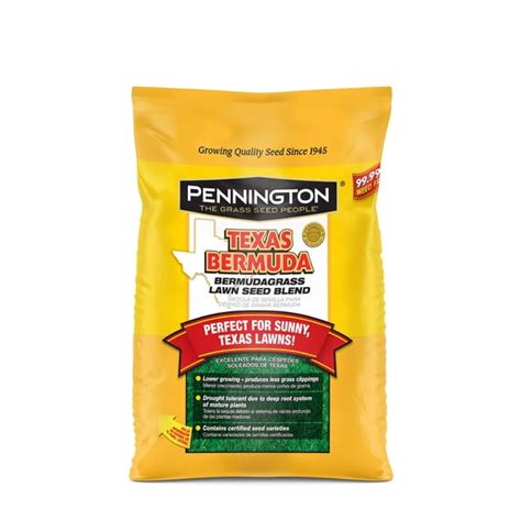 Pennington Texas Bermudagrass Drought Resistant Grass Seed Mix Grass
