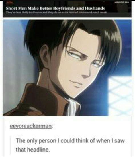 Levi Short Memes Attack On Titan Amino