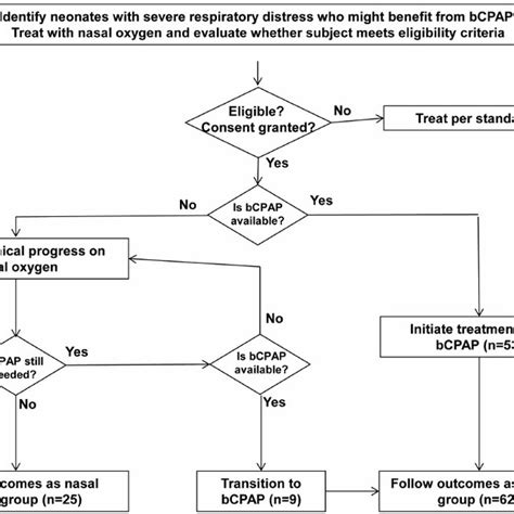 Flow Chart Summarizing Study Procedure And Outcome Groups Download