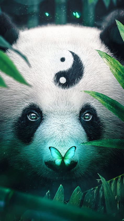 Top 76 Panda Images Wallpaper Best Vn