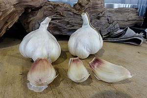 Long Sally Silverskin Seed Bulb Tasmanian Gourmet Garlic