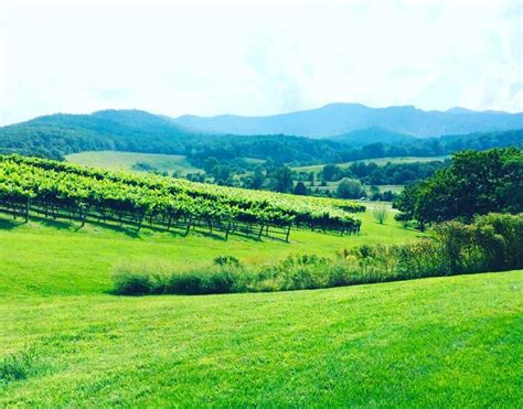 19 Best Wineries In Northern Virginia Virginia Vacation Guide