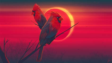 Red Bird Wallpapers Top Free Red Bird Backgrounds Wallpaperaccess