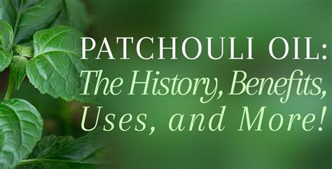 Patchouli Oil Uses And Benefits Of Patchouli Essential Oil