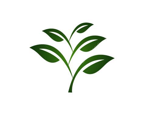 شعارات البيئة الخضراء ورقة الطبيعة عنصر ناقل رمز علم البيئة ورقة