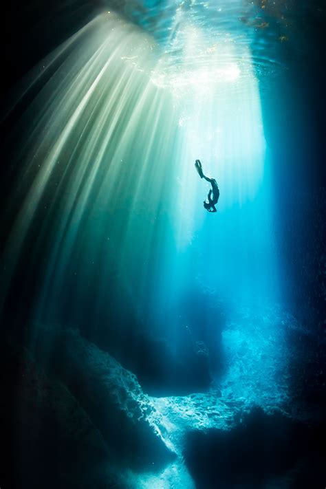 Your Beautiful Images Amazed Us The People And Our Judges Underwater