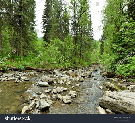 Rocky Bed Small Mountain River Flowing Stock Photo 2187227195